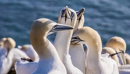 AYX GAMING-精彩瞬间集锦：过去一周的最热比赛瞬间，最近几天的热门比赛