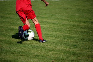 爱游戏官网首页-英超青训体系中情绪调节训练对青少年比赛焦虑的控制作用，英超青训球员定义