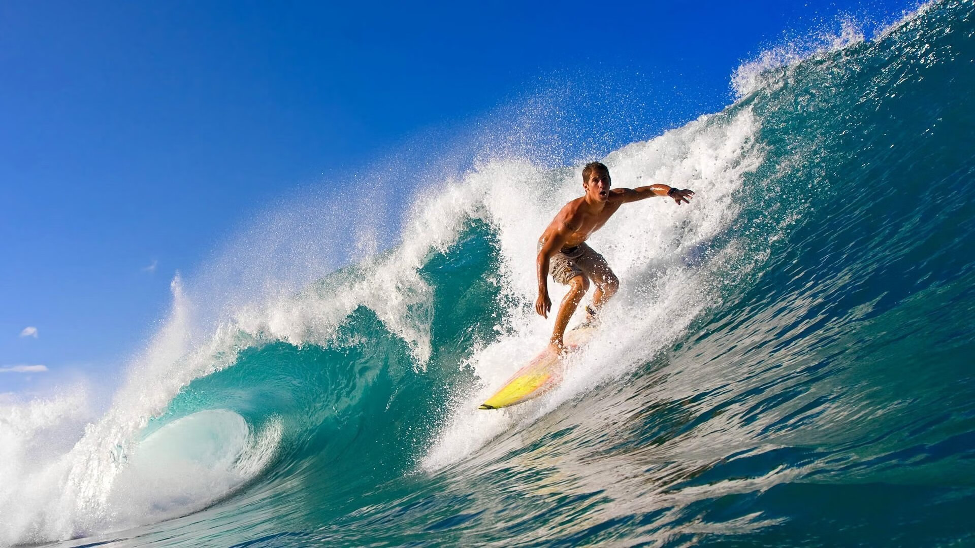 中国香港队赛制解析:团体比赛中如何精准配合与分工,香港队伍